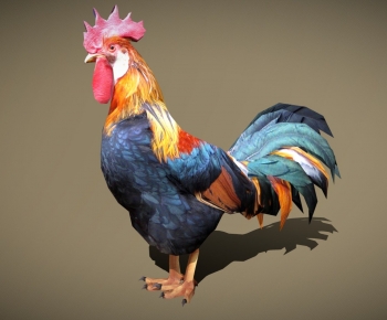 Modern Poultry Animal-ID:100197088