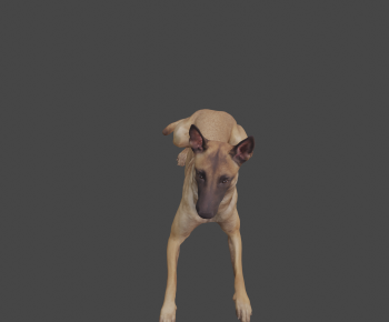 Modern Animal-ID:623600019