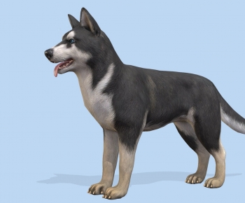 Modern Animal Dog-ID:399591929