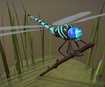Modern Animal-ID:359179977