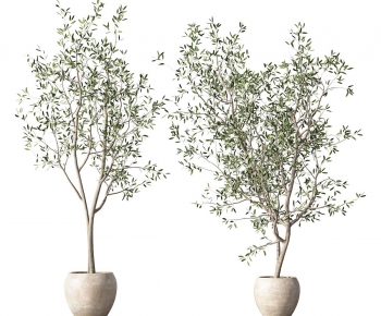 Modern Ground Green Plant Potted Plants-ID:429372074