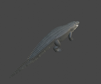 Modern Reptile-ID:806082015