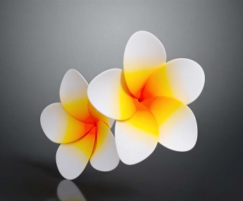 Modern Flowers And Grass-ID:255076897