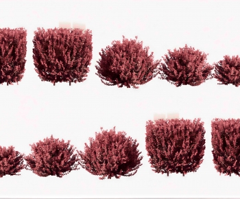 Modern Shrubbery-ID:462723976