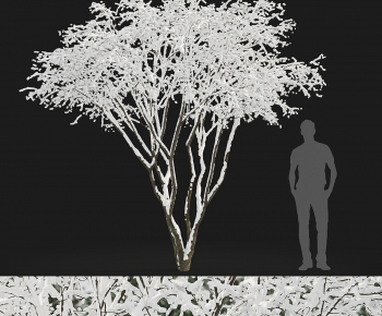 Modern Tree-ID:147459039