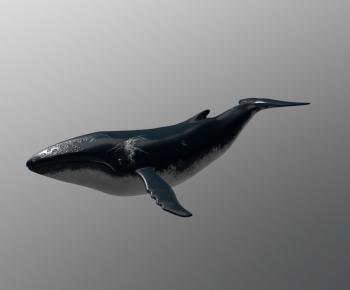 Modern Animal-ID:901634935