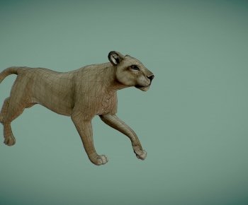 Modern Mammal-ID:238920938