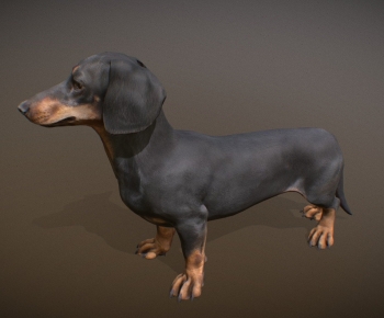 Modern Animal Dog-ID:368248942