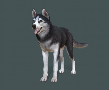 Modern Animal-ID:397452129