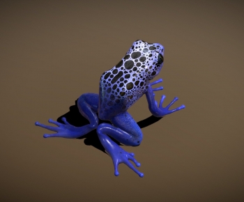 Modern Reptile-ID:474134929