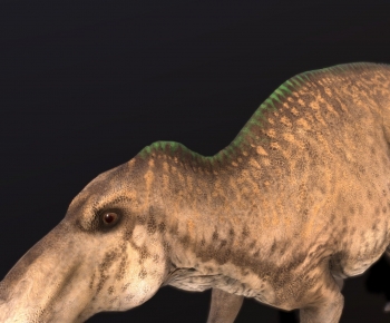 Modern Animal-ID:507885939