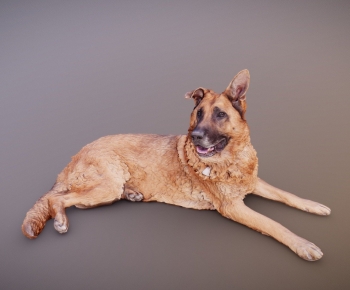 Modern Animal Dog-ID:821196082