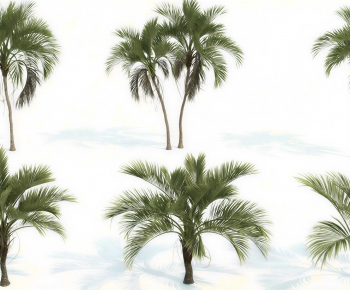 Modern Tree-ID:977196937