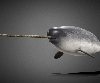 Modern Animal-ID:454370023