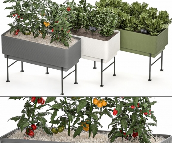 Modern Crop-ID:130439046