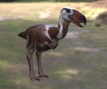 Modern Flying Animals-ID:152364022