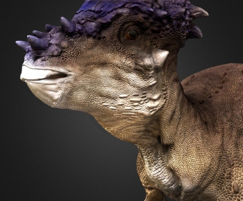 Modern Animal-ID:258471971