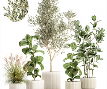 Modern Ground Green Plant Potted Plants-ID:744263891