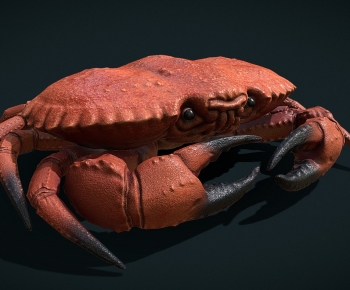 Modern Animal-ID:289742955