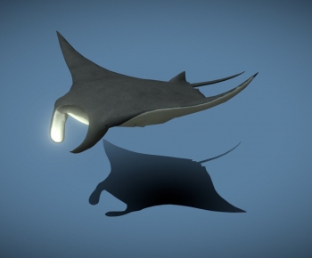 Modern Aquatic Animals-ID:518670165