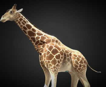 Modern Mammal-ID:474873075