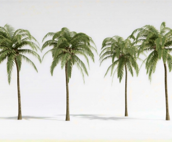 Modern Tree-ID:885389095