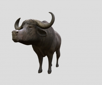 Modern Animal-ID:376079184