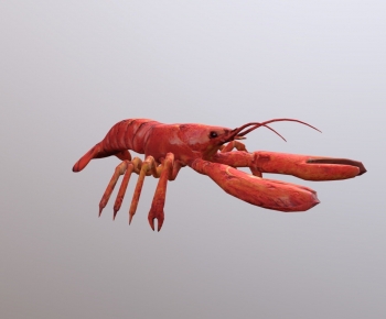 Modern Animal-ID:843035949