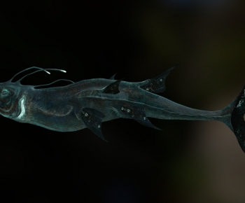 Modern Animal-ID:292471897