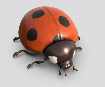 Modern Animal-ID:434628965