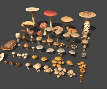 Modern Crop-ID:997698078