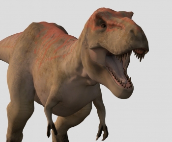 Modern Mammal-ID:962846992