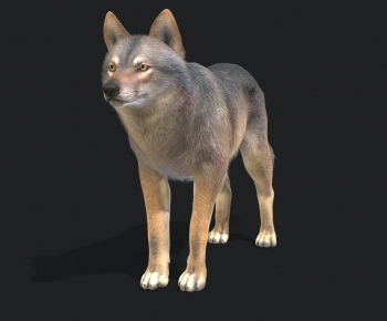 Modern Mammal-ID:608218918