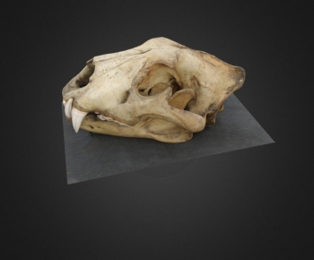 Modern Medical Equipment-ID:882514001