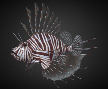 Modern Animal-ID:696387056