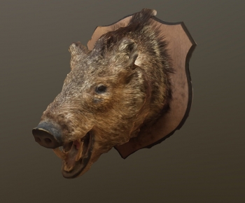Modern Mammal-ID:125310416
