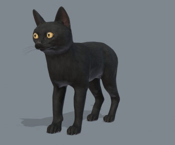 Modern Animal Cat-ID:632906913