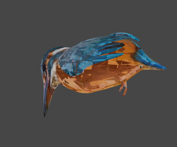 Modern Flying Animals-ID:662563092