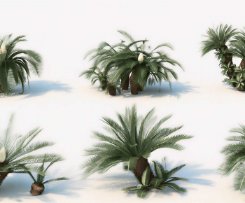 Modern Tree/shrub/grass-ID:370615012