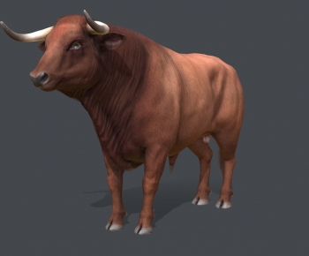 Modern Mammal-ID:302999973