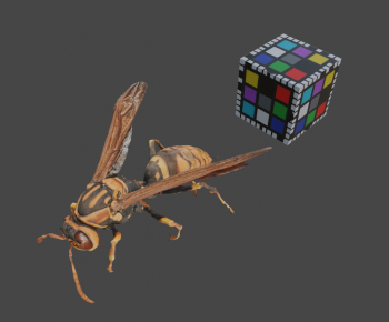 Modern Animal-ID:245891098