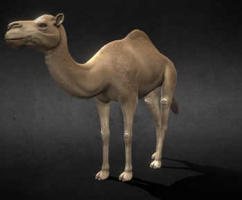 Modern Mammal-ID:814330672