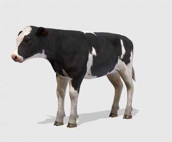Modern Animal-ID:152004964