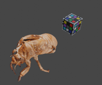 Modern Animal-ID:209861995
