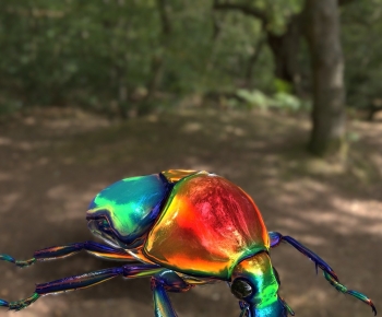 Modern Animal-ID:137192964