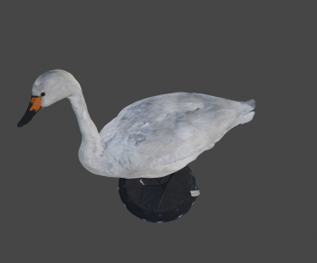 Modern Animal-ID:759344109