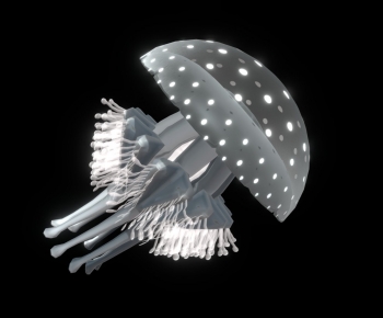 Modern Aquatic Animals-ID:771429554
