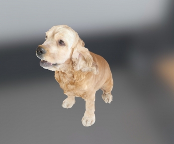 Modern Animal-ID:978550914
