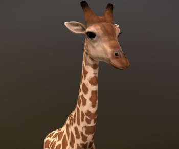 Modern Animal-ID:103581913