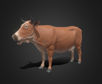 Modern Mammal-ID:305182932